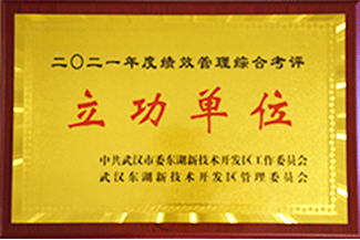 云顶集团(中国区)有限公司 - 官方网站