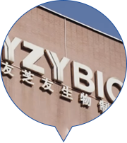云顶集团(中国区)有限公司 - 官方网站
